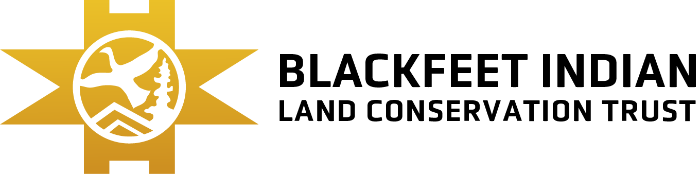 Offcanvas Logo